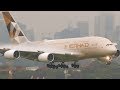 OUT of the FOG Landings at Sydney | A380 B747 A330 B777 | Sydney Airport Plane Spotting