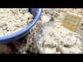 Garlic Herb Cheese (Boursin Copycat) Recipe
