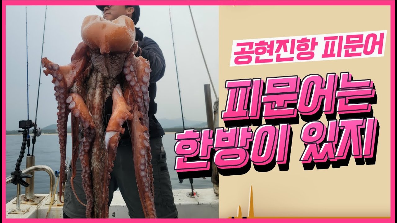 피문어는 한방이 있지, 피문어 낚는 액션법 , 가벼운 피문어 로드 소개 [공현진항 창명호]