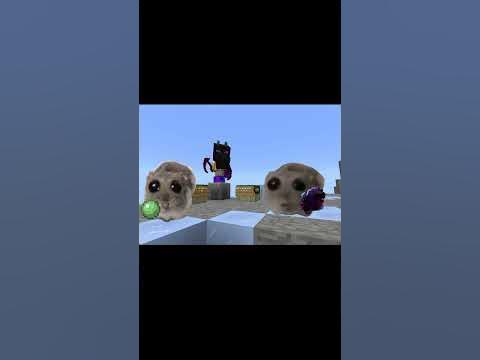 грустный и весёлый хомяк - YouTube
