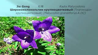 YIN QIAO JIE DU WAN (&quot;Серебряное перо&quot;) - классический рецепт китайской медицины от простуды. Разбор