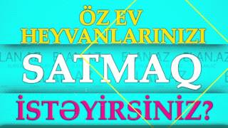 Elan - Heyvanların Alqı-Satqısı