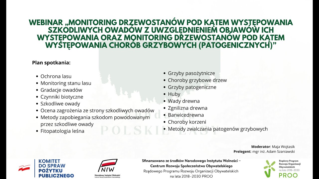 Monitoring drzewostanów pod kątem występowania szkodliwych owadów