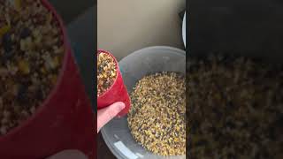 Anonymous donor gave me bird seed! #donations #wildbirds #wildlife