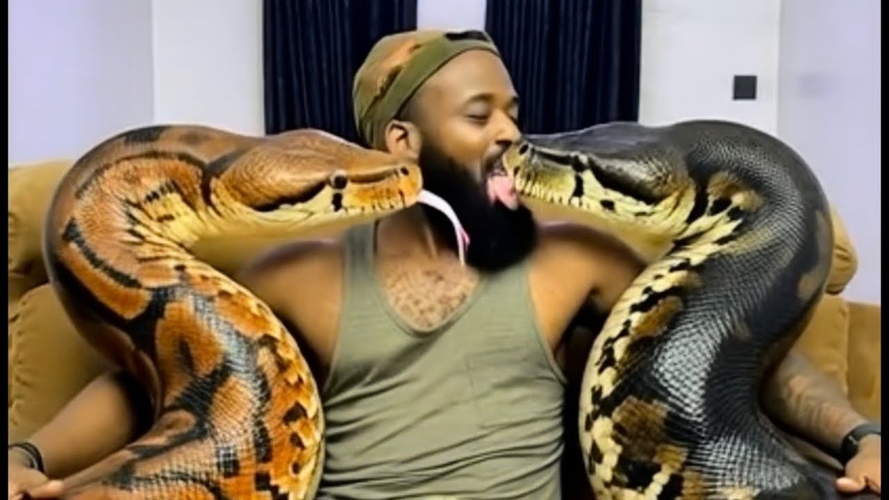 Девушки-змеи