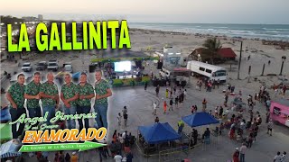 LA GALLINITA - ENAMORADO De Angel Jimenez Desde PLAYA MIRAMAR Tampico 2024