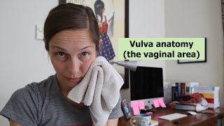 Vulva (the area around the vagina)