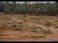 هبة ريح 
