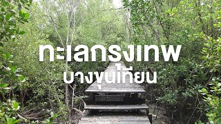 สารคดี ของดีประเทศไทย ตอน ทะเลกรุงเทพ บางขุนเทียน