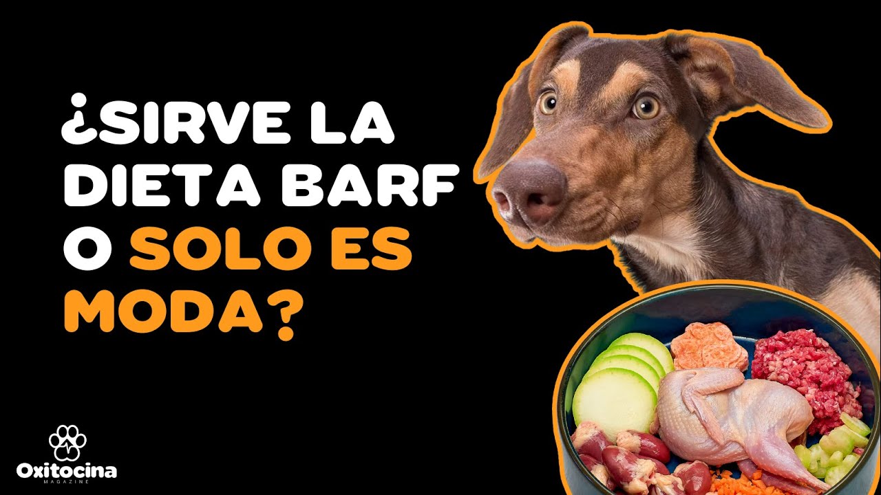 VENTAJAS Y DESVENTAJAS DE LA DIETA NATURAL (BARF) EN PERROS