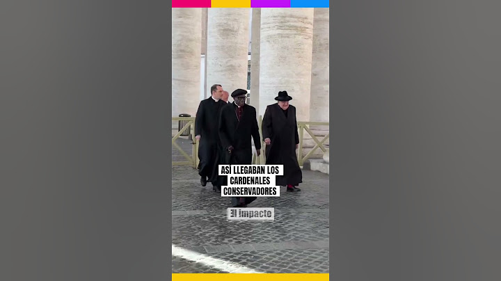 Así llegaban los cardenales conservadores tras el fallecimiento del papa francisco
