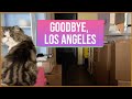 Goodbye los angeles  kawaiiguy vlog
