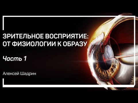 Смысл зрения и зрительная система. Зрительное восприятие: от физиологии к образу. Алексей Шадрин