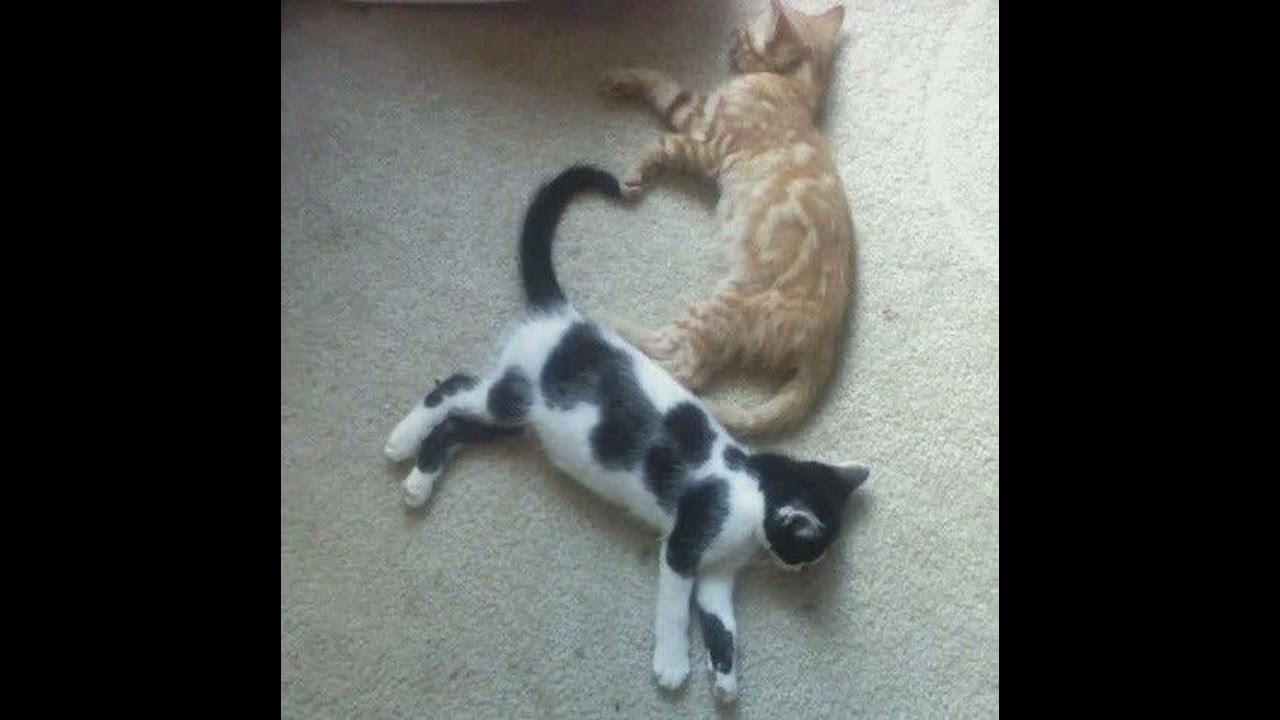 Tourner dans le vide speed up