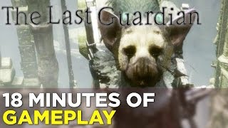 After half an hour with The Last Guardian, I'm concerned - Polygon