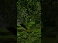 4-Wheeler Crash #voicesofthevoid #meme #gaming #game #aliengame