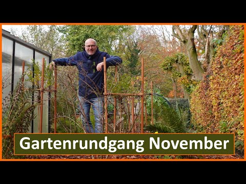 Gartenrundgang November - Sei dabei 😊 Was gibt es noch im Hochbeet? Was im Gewächshaus? Was ist neu?