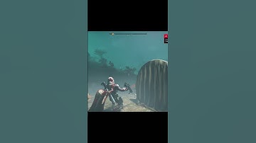 Had to assert my dominance #shorts