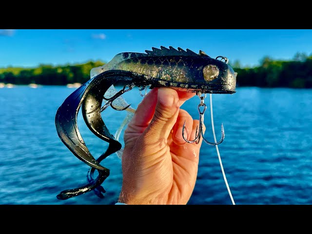 THIS BAIT Catches MUSKIES!! 