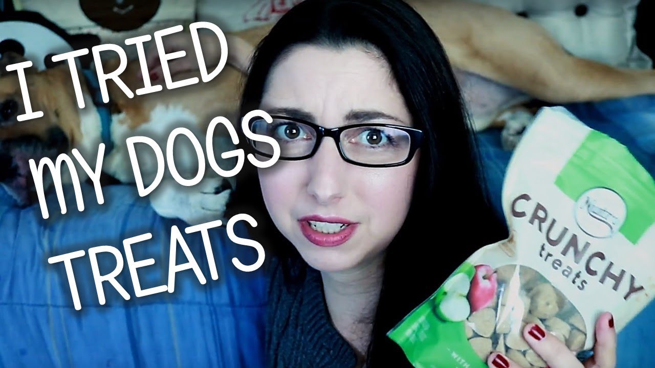 Taste Testing Dog Treats With My Dog!! YouTube