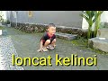 Pjok kelas 1 tema 6 gerak melompat dan meloncat