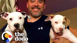 Pittie Puppies Born On Friday The 13th Prove The Day Isn’t So Unlucky | The Dodo Pittie Nation