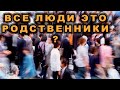 У всех людей одна кровь?