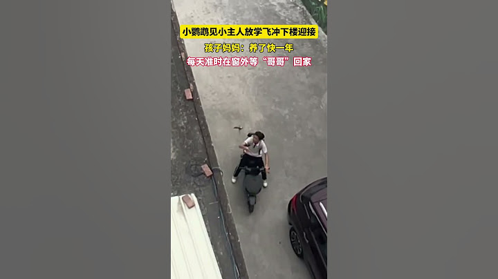 聪明又可爱！女子家养的鹦鹉每天站在窗台迎接小主人回家，一看到就冲下楼飞到小主人肩膀上。