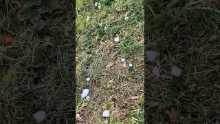 fist time that I see hail #hailstorm #hail #weather #viral #shortsfeed #sounds #relax #sounds