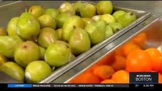 Changes to school lunches lowered students' average BMI