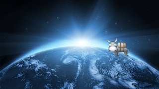Забавные животные!Смотреть обязательно-! Забавные животные!Смотреть обязательно-!