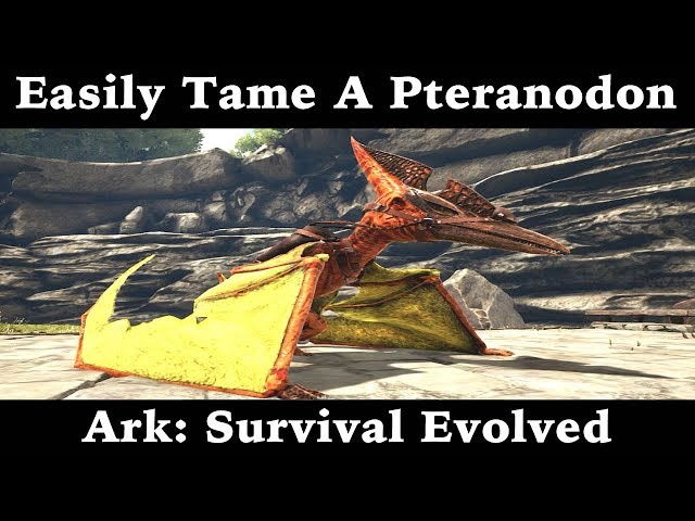 Easiest Way To Tame A Pteranodon - Ark: Survival Evolved - YouTube