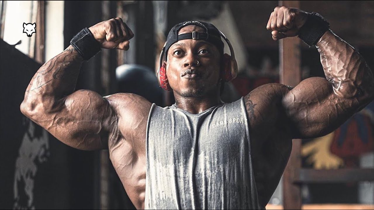 BAD WOLF 🐺 - Brandon Hendrickson