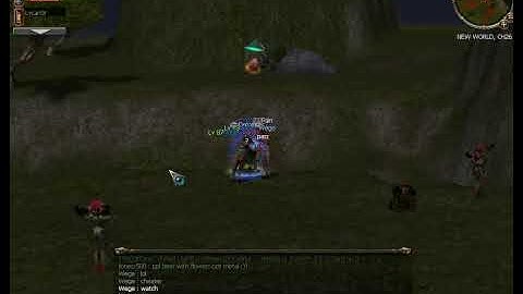 eFSaNe64 cheats at 85 Metin