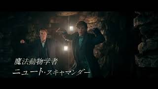 ～魔法動物編～吹き替え版『ファンタスティック・ビーストとダンブルドアの秘密』スポット映像