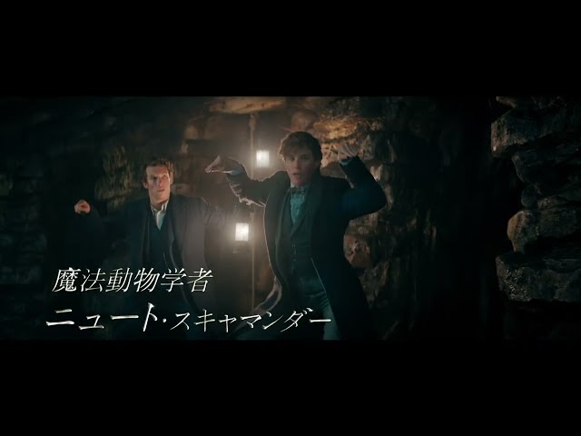 ~魔法動物編~吹き替え版『ファンタスティック・ビーストとダンブルドアの秘密』スポット映像