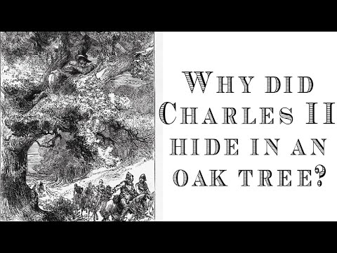 Video: Heeft Charles II zich verstopt in een boom?