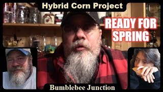 Growing Hybrid Corn From Seed | A Dual Purpose Crop