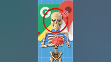 VÌ SAO BẠN KHÔNG NÊN TIN GOOGLE MAP | 😨 (Bạn Biết Không) #facts #amanzingfacts #thaukinhtrithuc