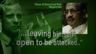 Oscar Pistorius: Paralympian granted bail Wealth