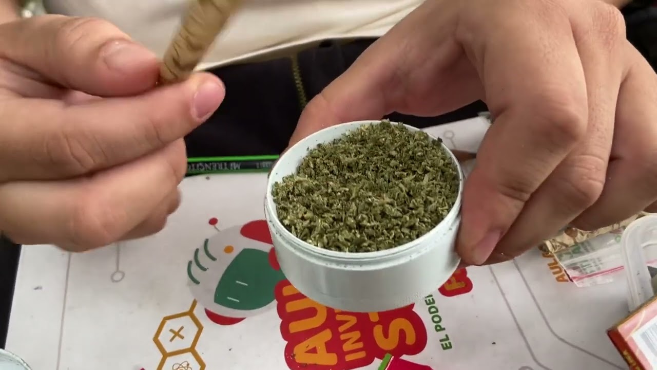 Cómo Armar un Porro Fácilmente: Guía Paso a Paso para Principiantes 🍀