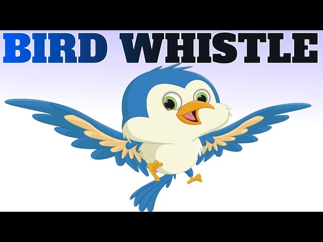 Sound To Attract Birds | Bird Whistle class=