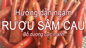 Sâm cau đỏ ngâm rượu bổ dương cực mạnh