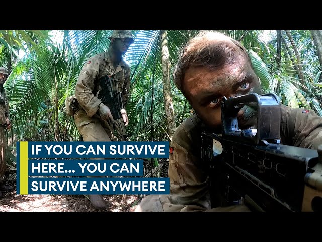 Welcome to the jungle: The British Army's brutal Belize jungle training class=