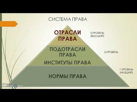 Видео: Какви са правата и отговорностите на служителите?