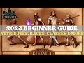 Pillars of Eternity - 2023 Beginner Guide (Attributes, Skills, Classes & More)