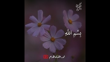 تلاوة سورة الفاتحة // تلاوة هادئة تريح القلب 😍❤️