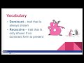 Genetics Vocabulary Essentials For Understanding Heredity And Traits