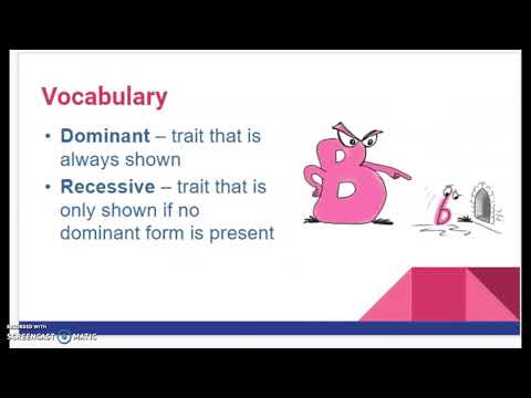 Genetic Vocabulary