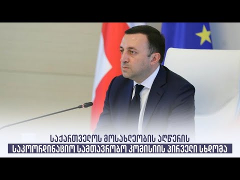 საქართველოს მოსახლეობის აღწერის საკოორდინაციო სამთავრობო კომისიის პირველი სხდომა